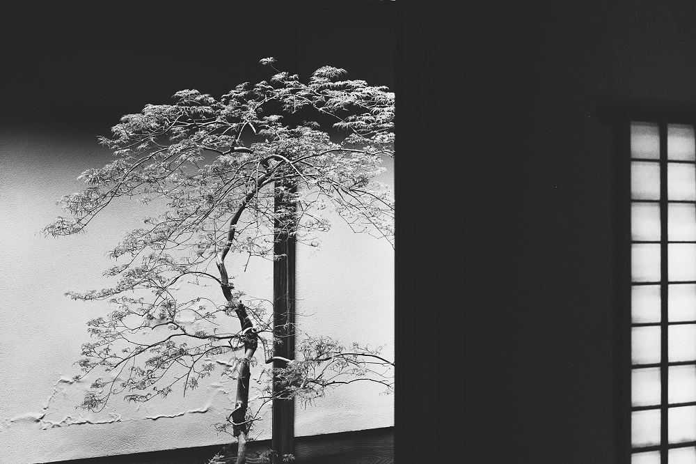 salvo_toscano_05