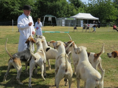 Hurst-Country-Show-_280618--12-