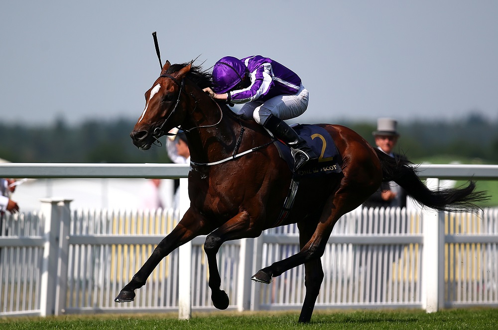 horses-_200618
