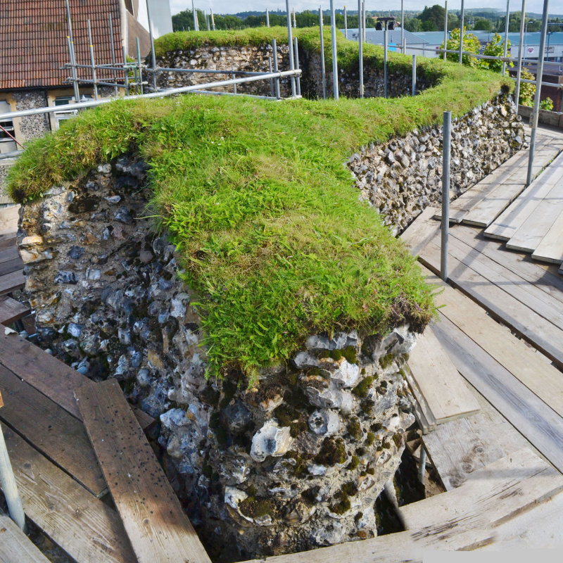 moss-reading-abbey-_070618