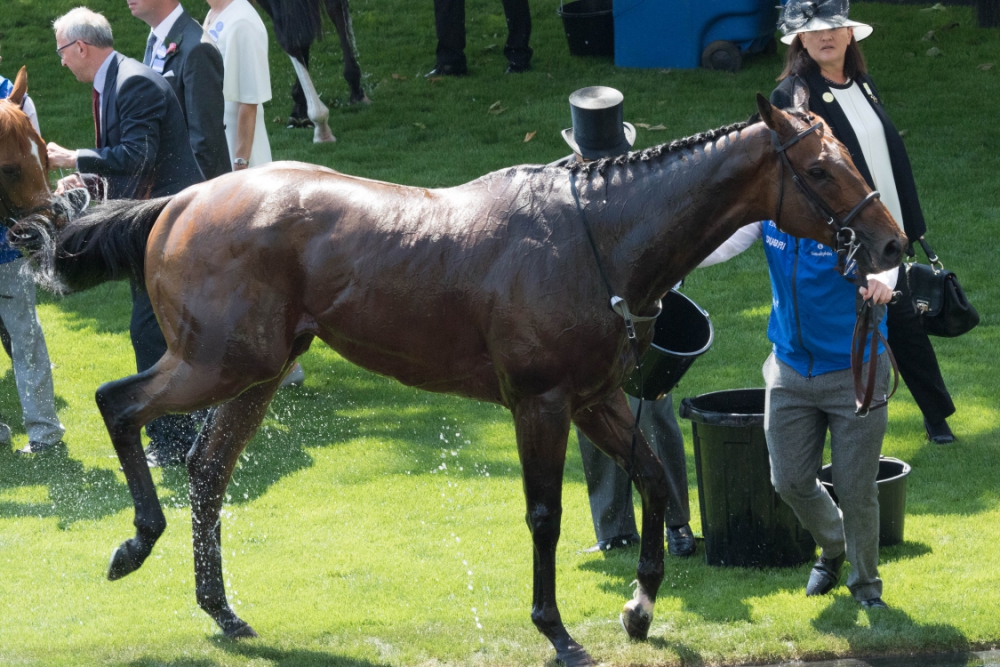 royal-ascot-_070618