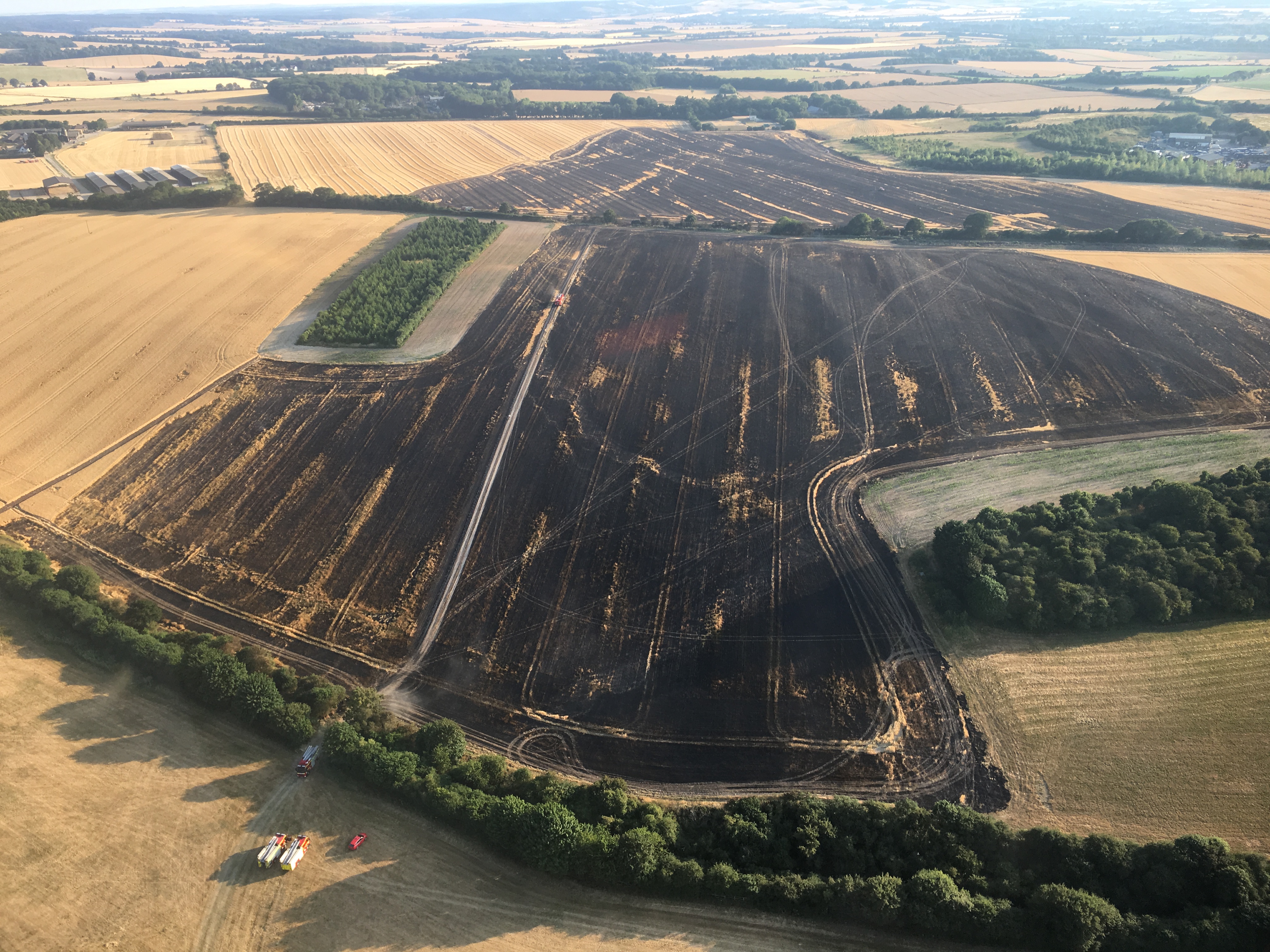 Crops destroyed in huge field fire near Wallingford getreading