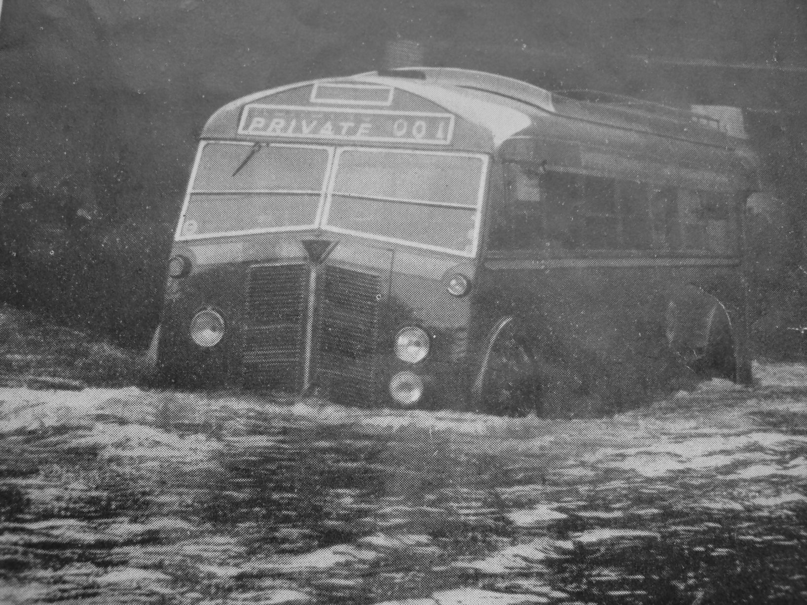 JS32353582