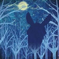 Midnight-summer-s-dream-_240718