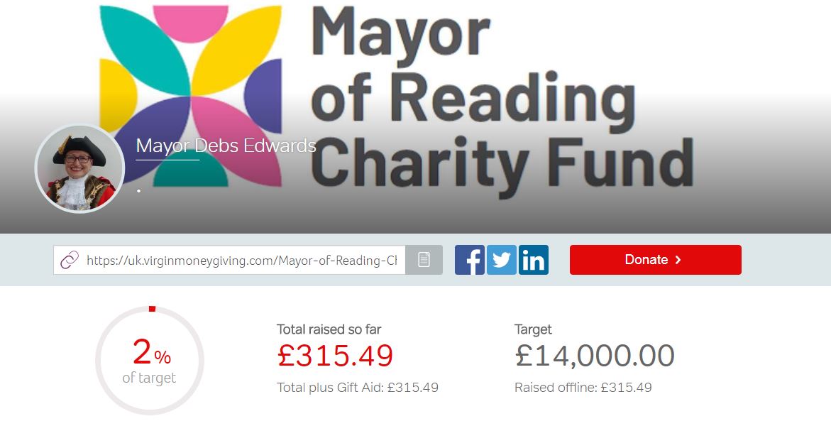 Reading Mayor launches fundraising website