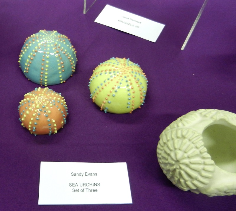Sea-Urchins-250718