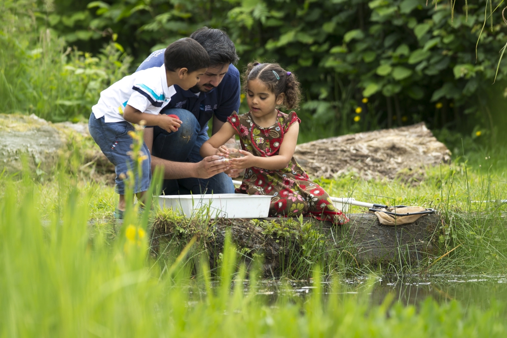 pond-dipping-_030718