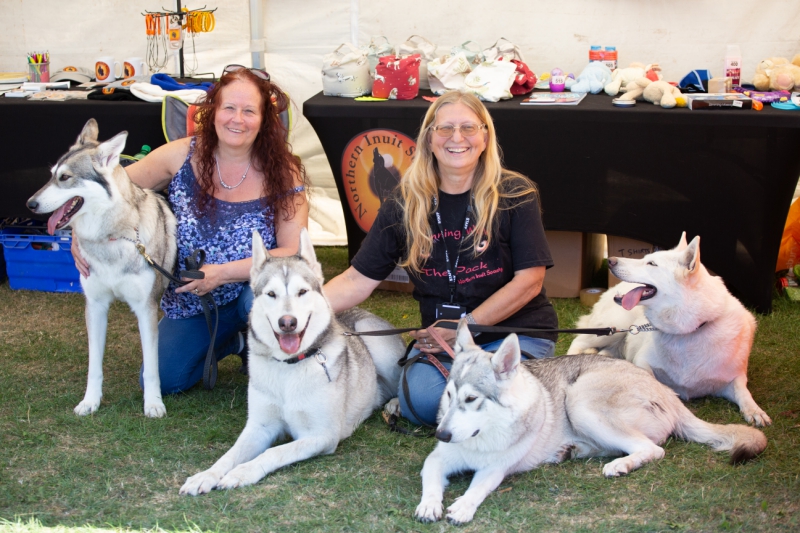 Dog-Festival-230818-_2-1