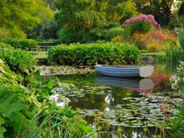 Days-out-in-Essex-for-children-with-special-needs-or-disabilities-beth-chatto-gardens