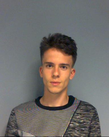 Roman-Ungurean-custody-shot-1