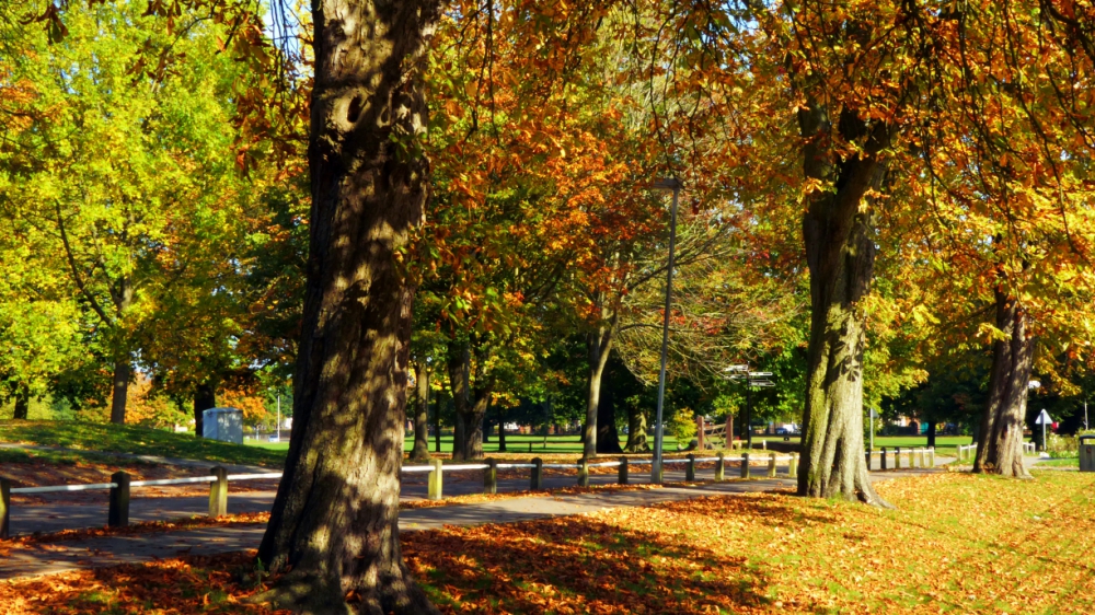When Do The Clocks Go Back In The UK InYourArea