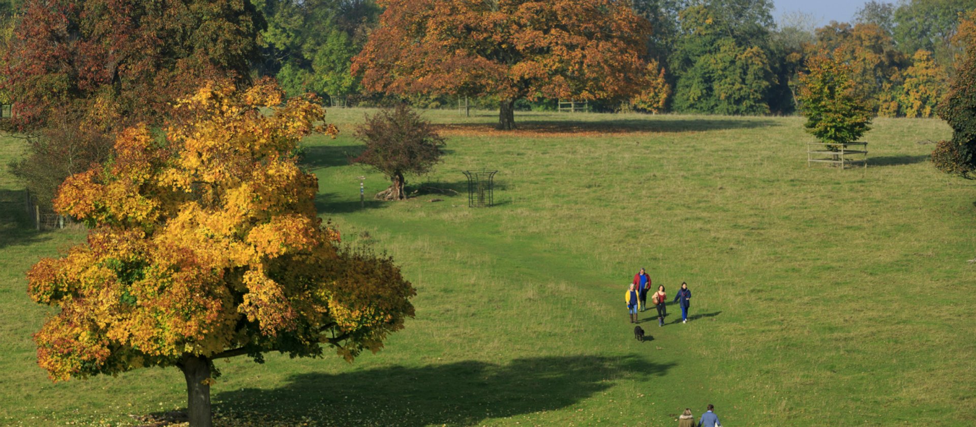 basildon-park