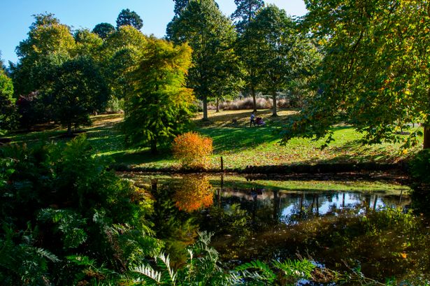 savill-garden-walks-2