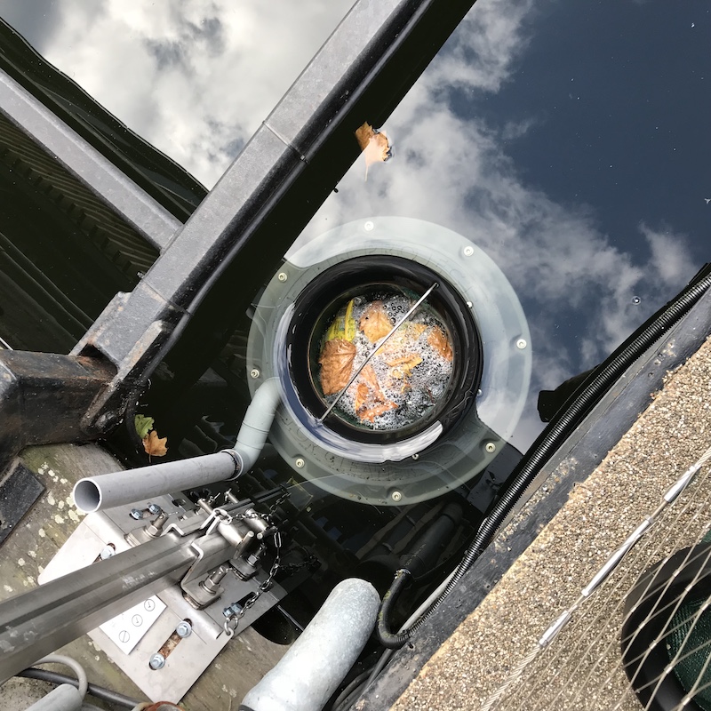 How the Seabin can play a part in cleaning up east London’s waterways