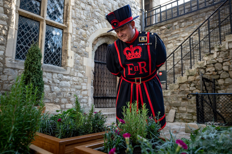 Rediscover-Sir-Walter-Raleigh-s-Lost-Garden-at-the-Tower-of-London-_1