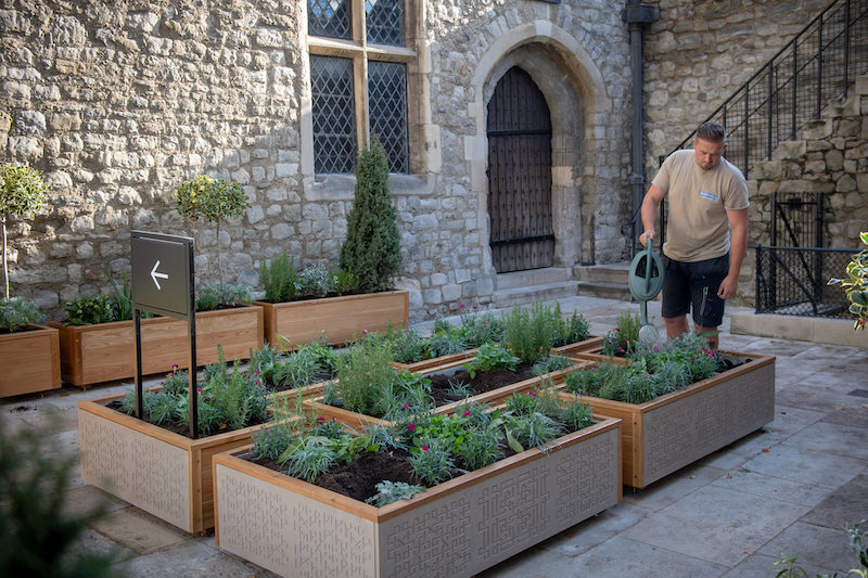 Rediscover-Sir-Walter-Raleigh-s-Lost-Garden-at-the-Tower-of-London-_5