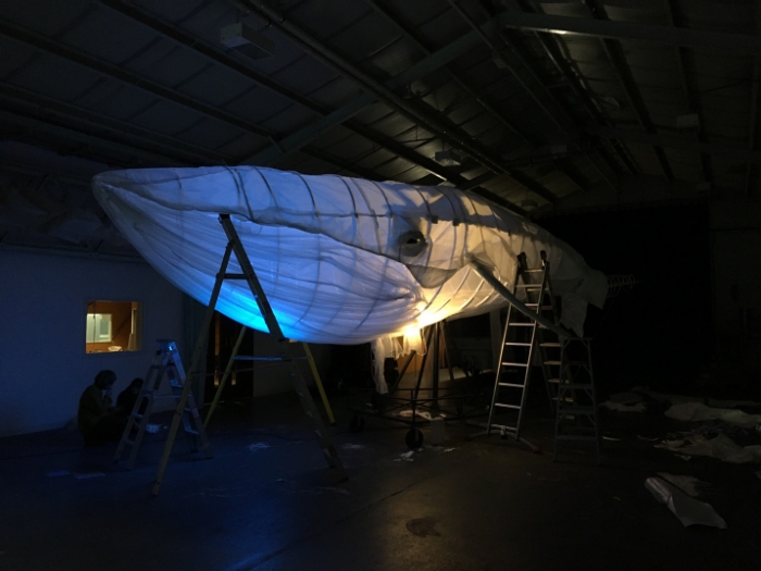 Big-Blue-whale-131118-1