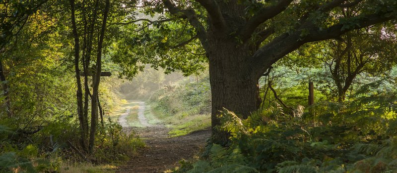 The-complete-guide-to-winter-walks-across-the-UK--8