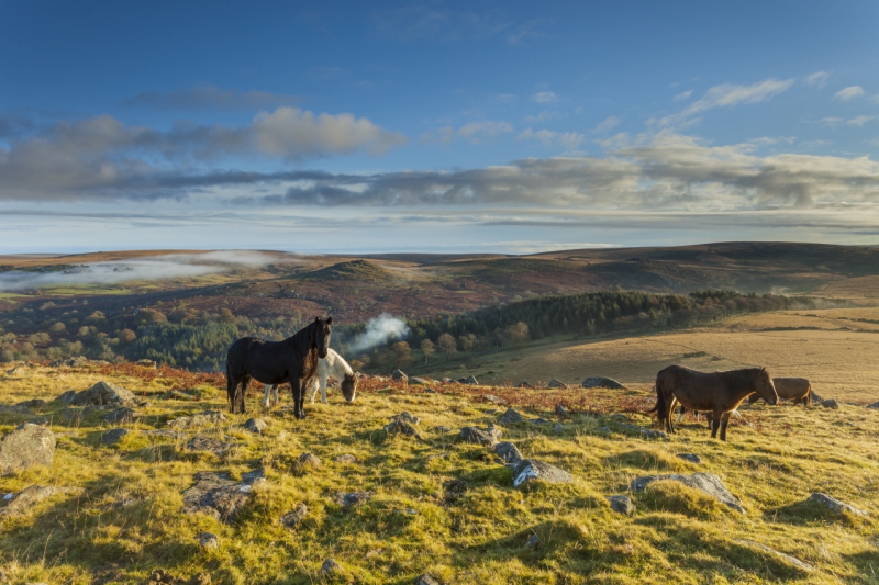 The-complete-guide-to-winter-walks-across-the-UK27