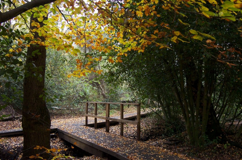 The-complete-guide-to-winter-walks-across-the-UK28