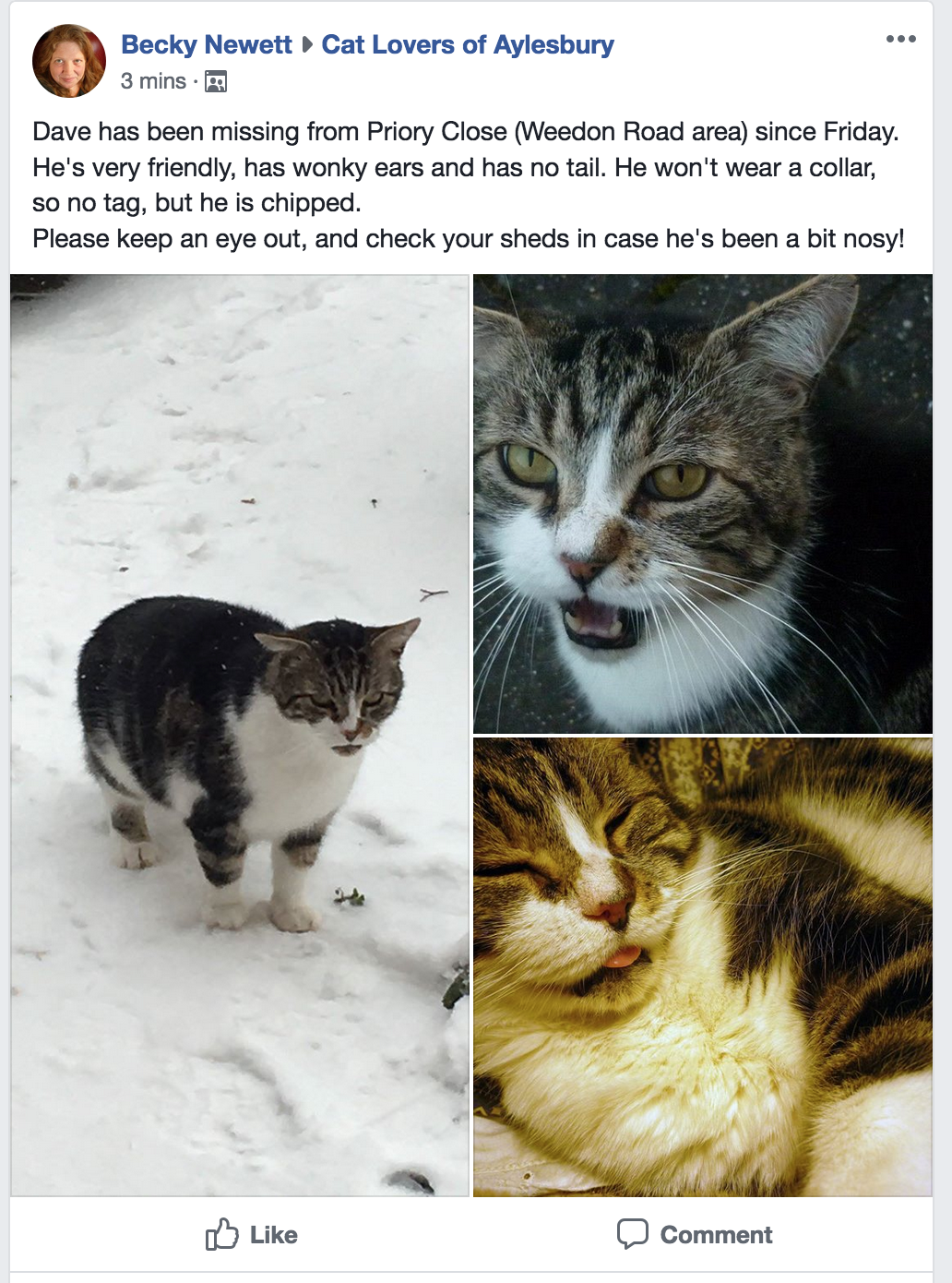 Dave-missing-1