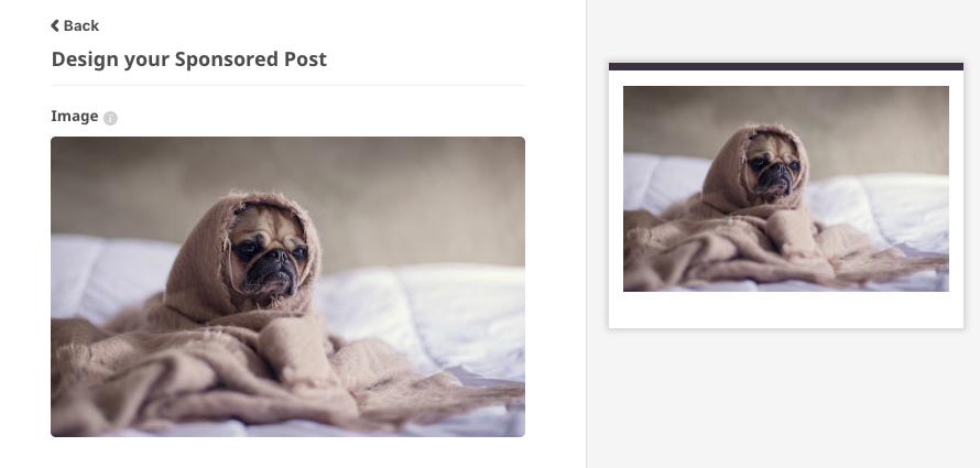 How-to-Setup-and-Create-a-Sponsored-Post-on-InYourArea-5