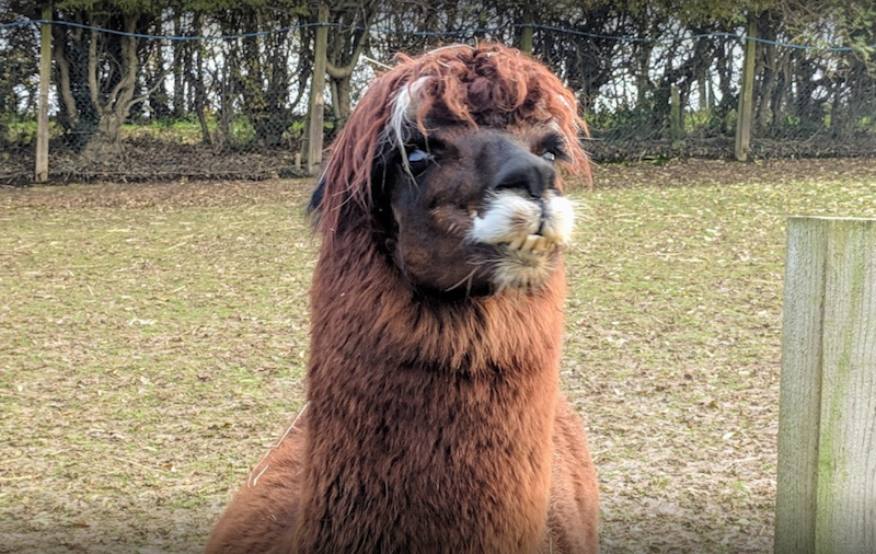 X-fun-things-to-do-with-your-kids-in-Bedfordshire-woolside