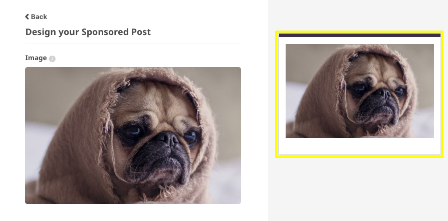 doggy-3