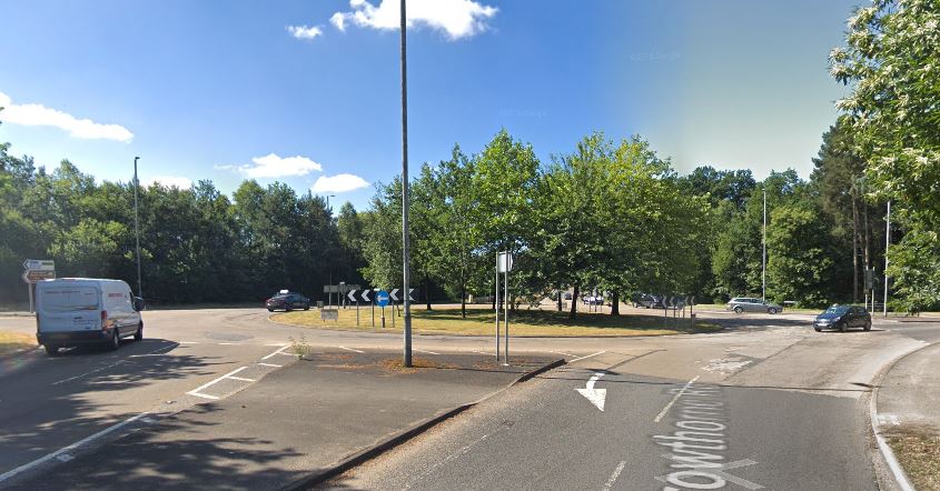 goldretrieverroundabout_080119