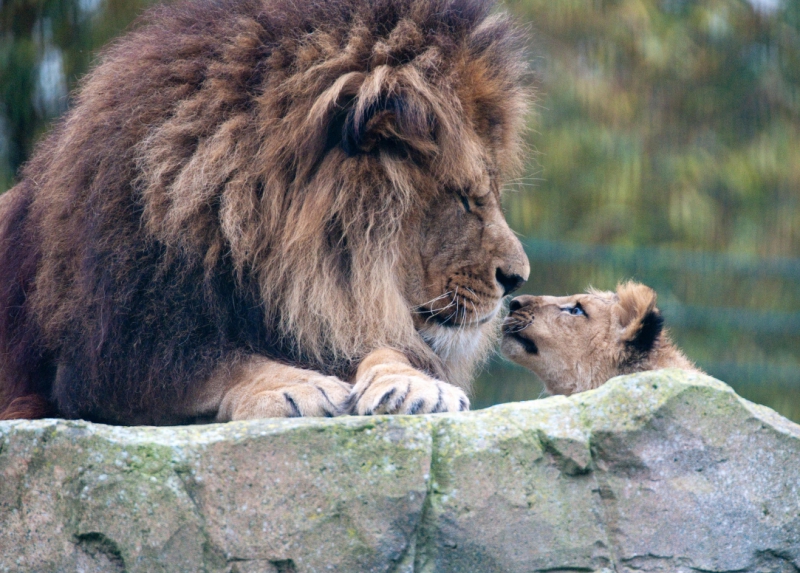 x-fun-things-to-do-with-your-kids-in-Lancashire-1
