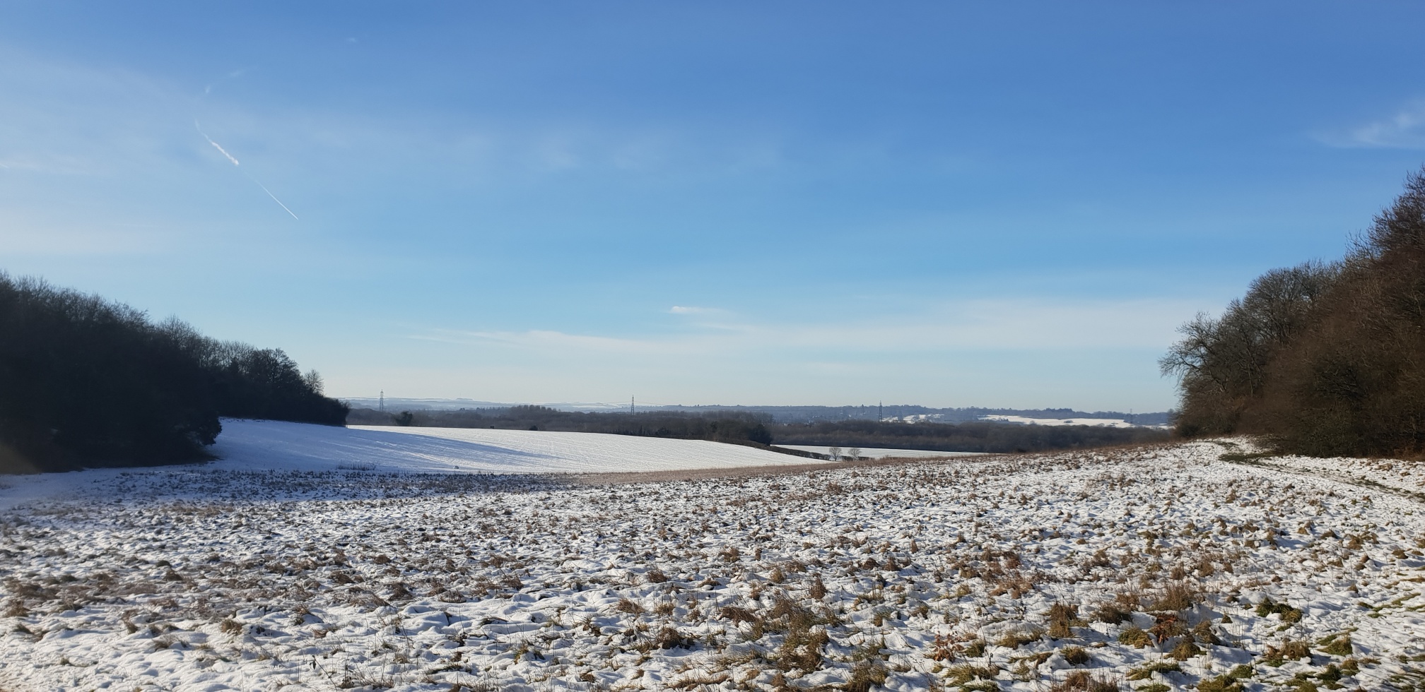 20190203_102726_resized