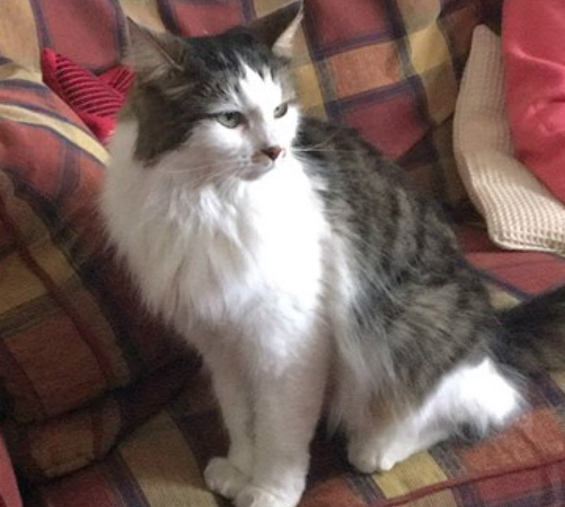 Freddie-home-2-2