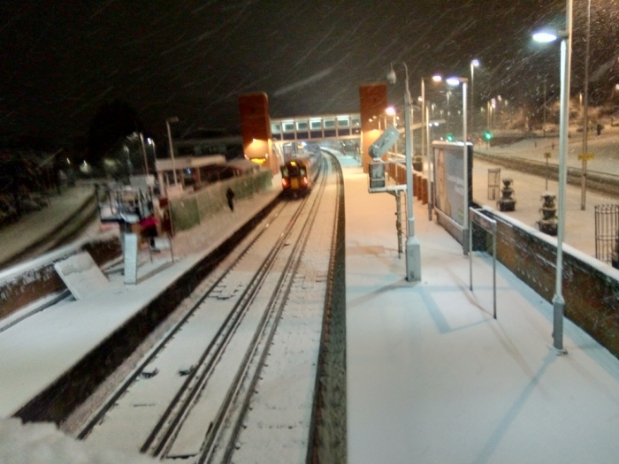 JS174015016