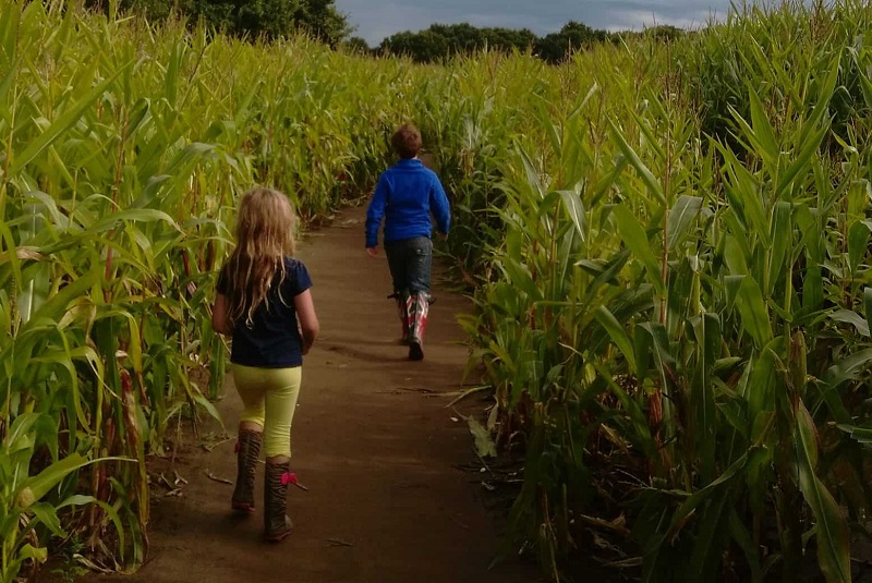 The-x-best-things-to-do-with-your-kids-in-Yorkshire--1-