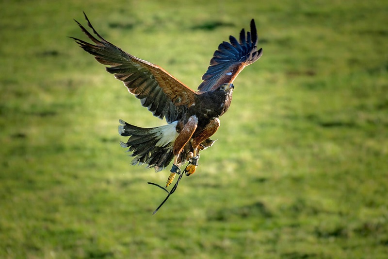 The-x-best-things-to-do-with-your-kids-in-Yorkshire-4