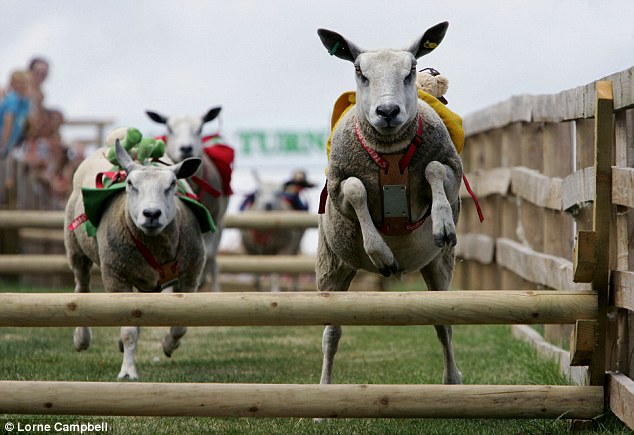 The-x-best-things-to-do-with-your-kids-in-Yorkshire-6-1