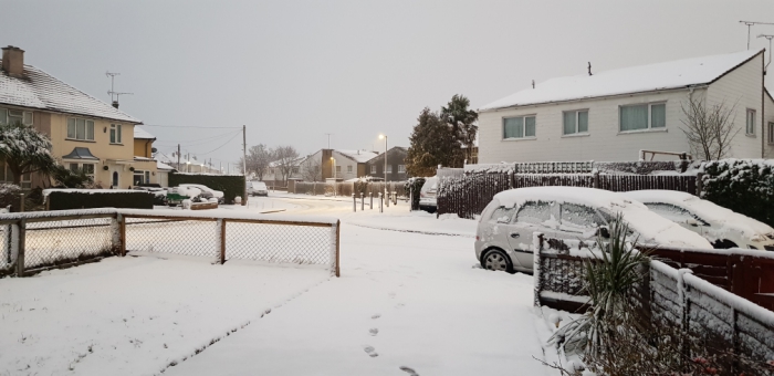 Whitley-Wood-snow-010219