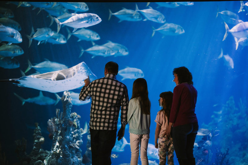 X-fun-things-to-do-with-your-kids-in-Yorkshire-8