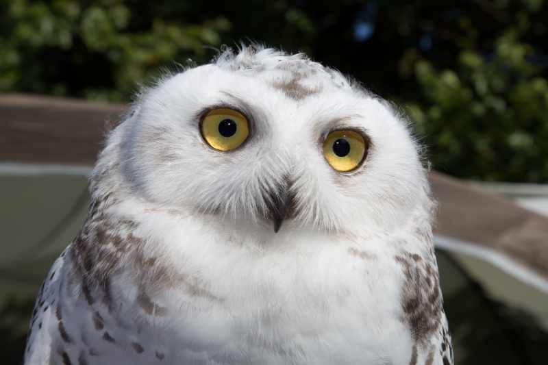 best-things-to-do-with-kids-in-Kent-12