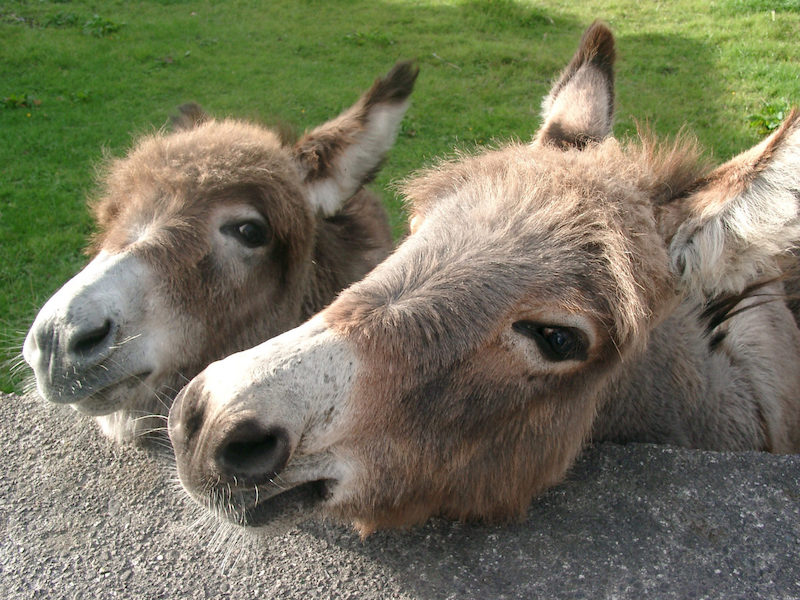 best-things-to-do-with-kids-in-Kent-4