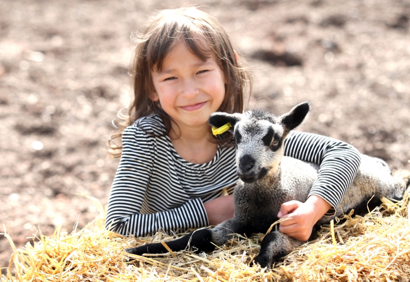 best-things-to-do-with-kids-in-Manchester-14