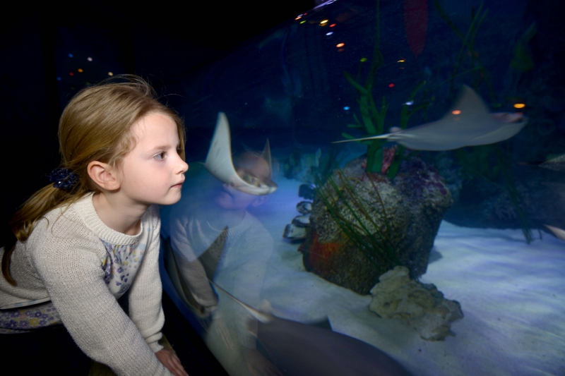 best-things-to-do-with-kids-in-Manchester2