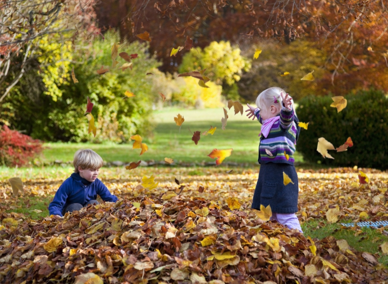 places to visit in hampshire with toddlers