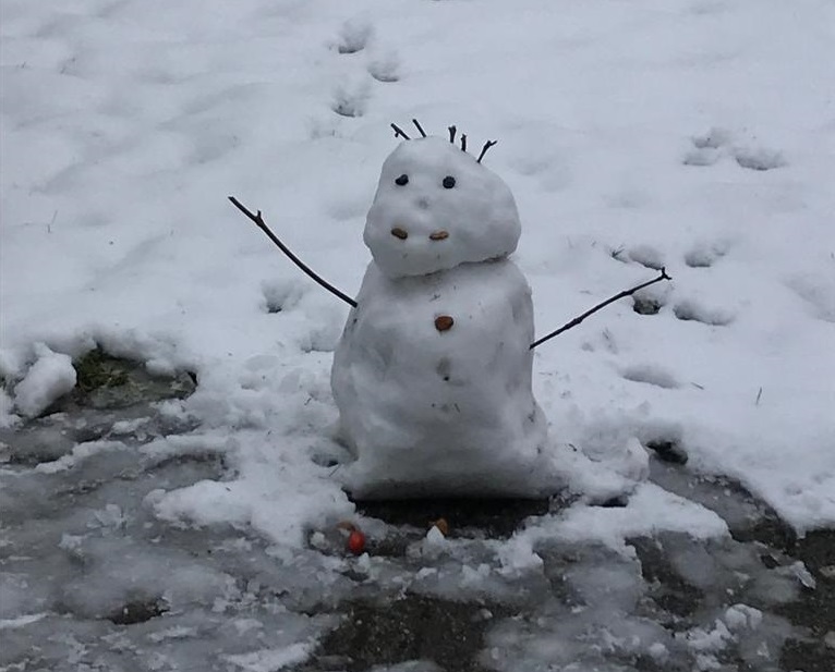 snowmanLT010219