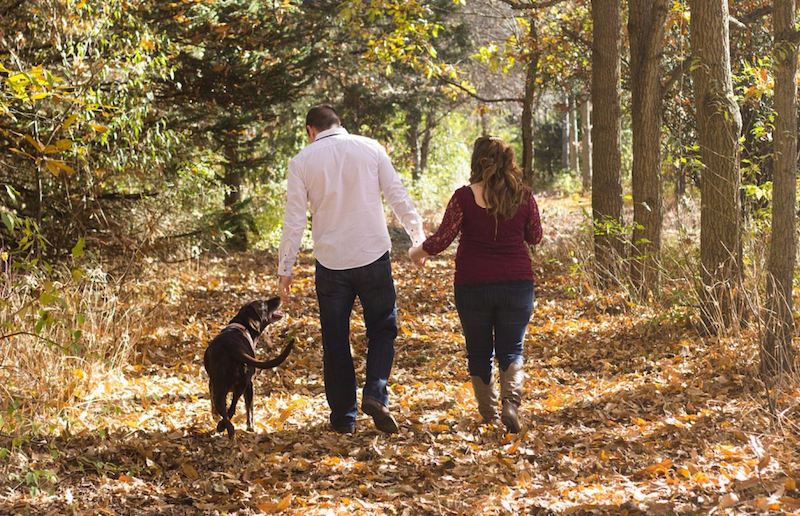 Take part in a sponsored walk around Burnbake Forest