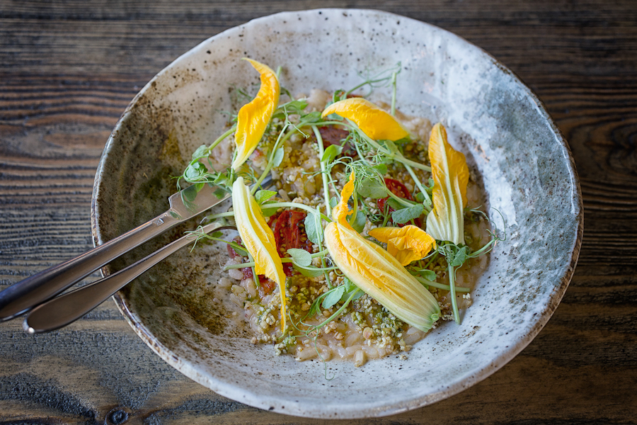 Top-10-Restaurants-to-eat-Vegan-in-Bristol-Adelina-Yard