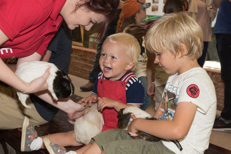 best-things-to-do-with-kids-in-Warwickshire-4