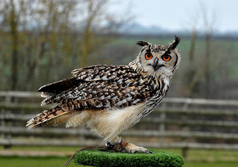 best-things-to-do-with-your-kids-in-Devon-1