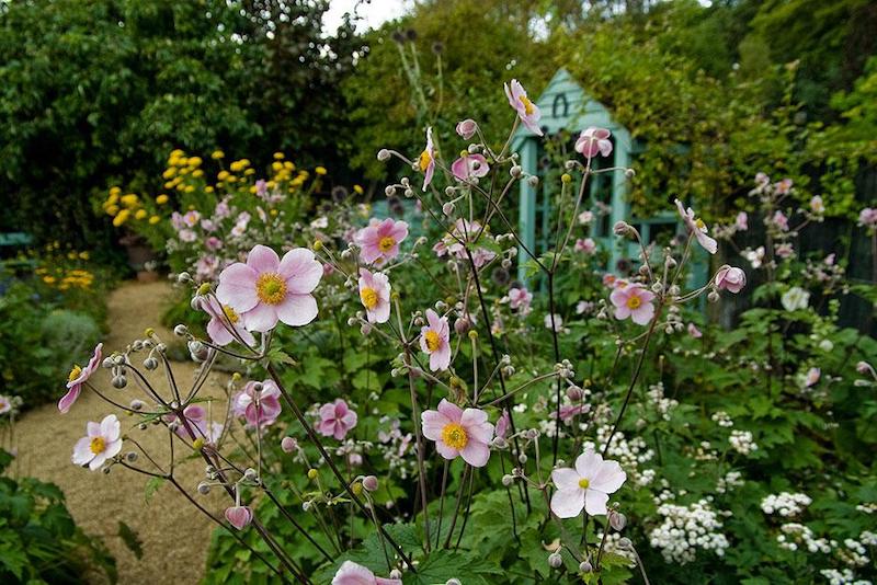 best-things-to-do-with-your-kids-in-Rutland-2