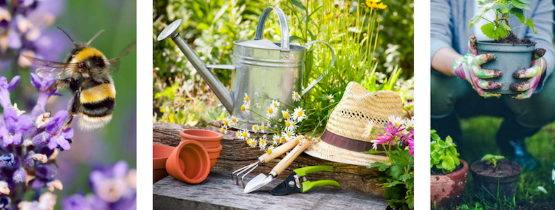 Spring-your-garden-back-to-life-at-The-Newbury-Garden-Show-1